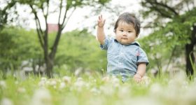 育児,公園デビュー,幼稚園児,未就園児