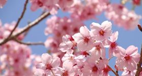ストレス,泣き,笑い,笑顔,別れの季節,3月